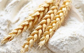 Un QR en los paquetes de harina para conocer su trazabilidad