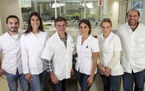 Ciencia argentina mejora la logística de la siembra de soja en Brasil