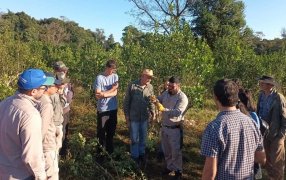 Capacitación sobre técnicas de cosecha