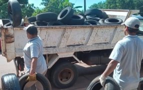 Posadas: Trabajos para erradicar criaderos de mosquitos en gomerías