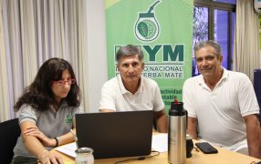 Cuidado ambiental, clave en el recorrido de la yerba hacia el consumidor