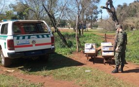 Dos individuos cargaban con varias cajas de biocidas en dos carretillas y fueron sorprendidos intentando cruzar la frontera con herbicidas en su poder