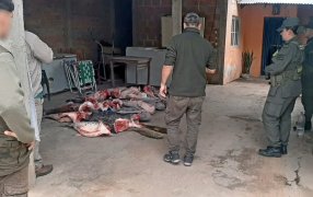Encontrándose inhibido judicialmente para la actividad, Gendarmería Nacional secuestró más de 300 kilos de pescado en un inmueble