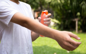 Cáritas Argentina distribuirá cincuenta mil repelentes