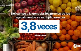 Índice de Precios en Origen y Destino en Enero: el año comenzó con una brecha de precios campo-góndola de 3,8 veces