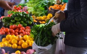 Nuevo aplicativo online calcula la diferencia de precios entre Ferias Francas, despensas y supermercados