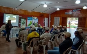 Comenzó un ciclo de capacitaciones sobre Manejo de planta y Buenas Prácticas sobre Yerba Mate en Misiones