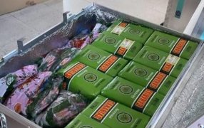 Duro golpe al orgullo nacional: La selección argentina de fútbol llevará yerba brasileña a Qatar