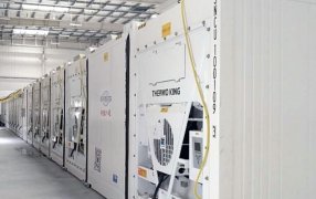 Ya están en Argentina los contenedores que son “auténticas cámaras frigoríficas móviles”