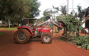Apóstoles: Desde el mes de Julio se inicia el periodo de Poda Autorizada de Arboles del Sector IV, evite inconvenientes como sanciones o multas