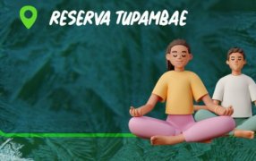 Apóstoles: Habrá Yoga Para Adultos en la Reserva Tupa Mbaé