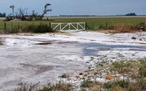Alerta por tormentas fuertes y granizo en ocho provincias