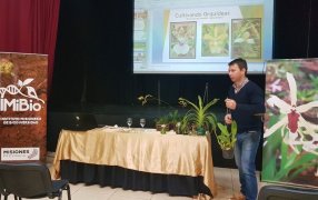 Misiones: Se realizaron con éxito los talleres sobre orquídeas misioneras, para aprender y proteger las especies en Leandro N. Alem y Apóstoles