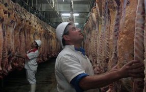 Frigoríficos del consumo interno evalúan ir a la Justicia para frenar el troceo de la media res