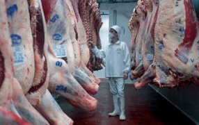 Acuerdo con SENASA: Frigoríficos de Tucumán adherirán al estatus sanitario único nacional