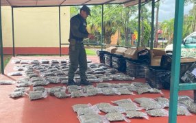 Gendarmería Nacional interceptó encomiendas con marihuana: Se trataron de cogollos que tenían como destino la provincia de Buenos Aires
