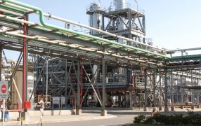 Radiografía del biodiésel en Argentina, el sexto productor a nivel mundial