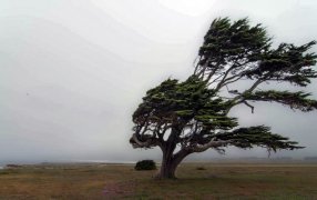 Alerta rojo en la Patagonia: Pronostican vientos de hasta 150 km/h