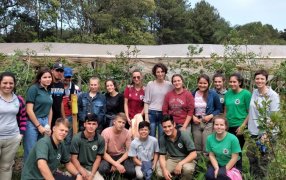 Misiones: Jornada yerbatera con jóvenes de la Escuela de la Familia Agrícola Jesús de Galilea en Dos de Mayo