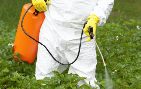 Escala el conflicto por la prohibición al Glifosato: “Misiones se apresta a detonar al sector productivo”