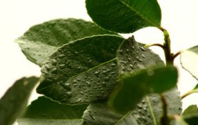 El INYM otorgará 50 becas a profesionales que deseen participar en la “Jornada de Nutrición y Salud Ósea”