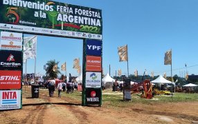 La Dinámica Forestal y las oportunidades en el mercado de bonos de carbono, ejes en la tercera jornada de la Feria Forestal Argentina