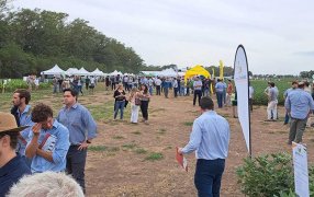 Córdoba: El Tercer Encuentro Nacional sobre Producción con Biológicos y Estrategias Sustentables que tendrá lugar en el Campus de la Universidad Nacional de Villa María en Febrero 2024