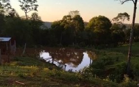 Adolescente de 14 años murió ahogada al intentar rescatar a su hermanita de 6 años que había caído a un tajamar, fue en el Municipio misionero de El Soberbio