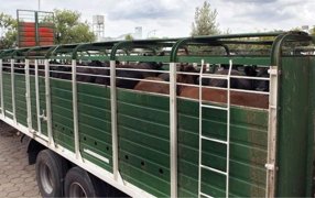 SENASA dio marcha atrás con la medida que obligaba a productores a registrar camiones con hacienda