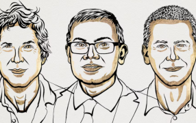 El Premio Nobel de Química 2024 fue otorgado a David Baker, Demis Hassabis y John Jumper