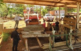 Misiones: Secuestraron gran cantidad de madera nativa extraída y comercializada ilegalmente en Eldorado