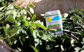 En 2025, la Cooperativa Las Tunas proyecta crecer en base a la producción orgánica