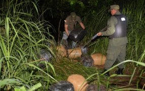Trescientos kilos de marihuana fueron descubiertos por Gendarmería Nacional: Fue en una zona muy cercana a donde, días atrás, una canoa fue sorprendida descargando estupefacientes