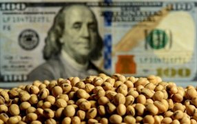 Cautela en el agro ante el anuncio del nuevo “dólar soja”