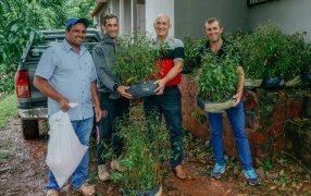 Acompañan a pequeños productores de la forestoindustria misionera