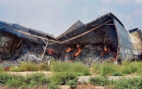 La guerra pone en peligro la seguridad alimentaria de Israel