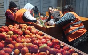 Posadas: Recuperaron más de trescientos kilos de frutas y verduras que serán destinadas comedores comunitarios