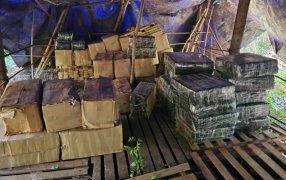 Arrestos y toneladas de droga secuestradas por la Policía de Misiones en un campamento oculto en la zona rural del Municipio de Montecarlo, lo incautado está valuado en más de 6.889 millones de pesos