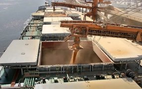 Crece más del 60% la liquidación de divisas de los agroexportadores en Enero