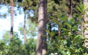 El INYM se capacita en producción orgánica