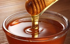 Cómo usar la miel para cuidar la huerta: Seis consejos infalibles, además de alimento, puede ser muy efectiva en el cuidado del jardín