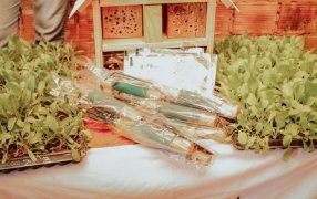 Misiones: Lanzaron un programa de capacitaciones en huertas urbanas y rurales fortaleciendo el compromiso con la sostenibilidad de la seguridad alimentaria