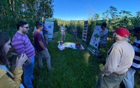 Yerba Mate: Capacitación para mejorar la productividad en el Municipio misionero de 25 de Mayo, fue una jornada intensa y productiva compartieron los productores