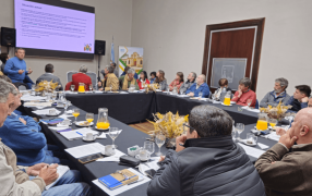 Reducir o eliminar las retenciones al maíz: Un pedido del NOA ante la crisis de la Chicharrita