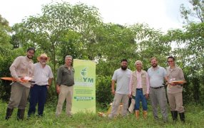 Luis Díaz Espeche, de San Pedro, es el Productor Yerbatero 2023