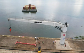 Por primera vez, desde el Puerto de Posadas partirán contenedores con té misionero: Se trata de 20 contenedores cargados y serán destinados al mercado de Estados Unidos y Portugal