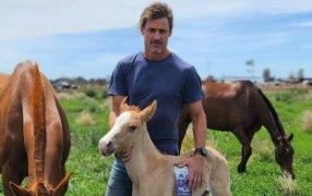 “En honor”: Le puso Victoria a una potranca y la flamante Vicepresidente no se la dejó pasar, “¡qué preciosa!”