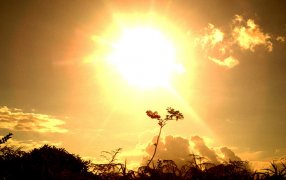 “El comienzo del mes de Agosto más cálido en 117 años”: Los datos de la ola de calor en pleno invierno