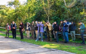 Misiones: Exitosa jornada de observación de aves en libertad