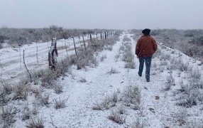 Alerta por posibles nevadas tempranas en el sur de la Región Pampeana